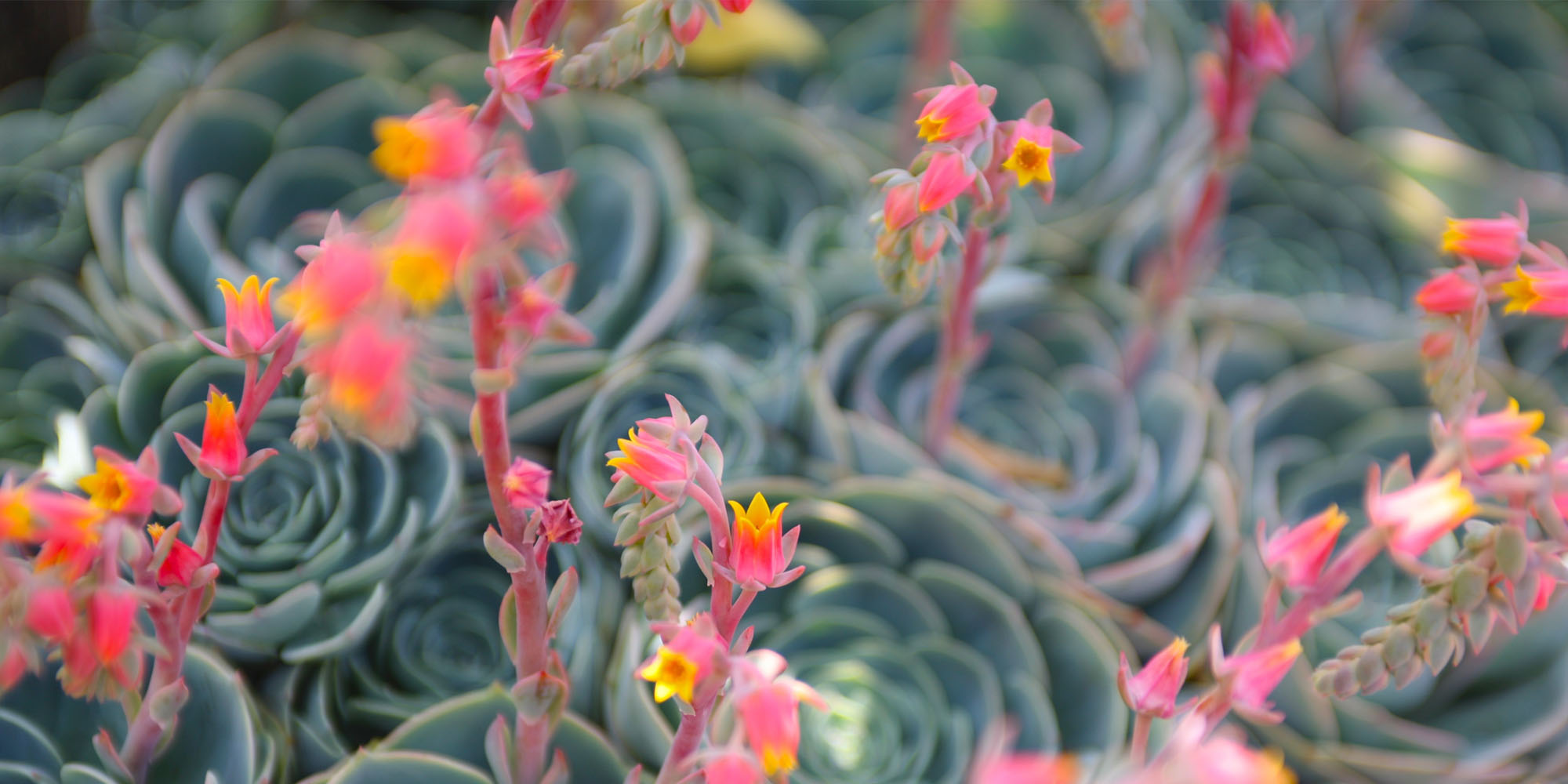 Heritage House Assisted Living home page