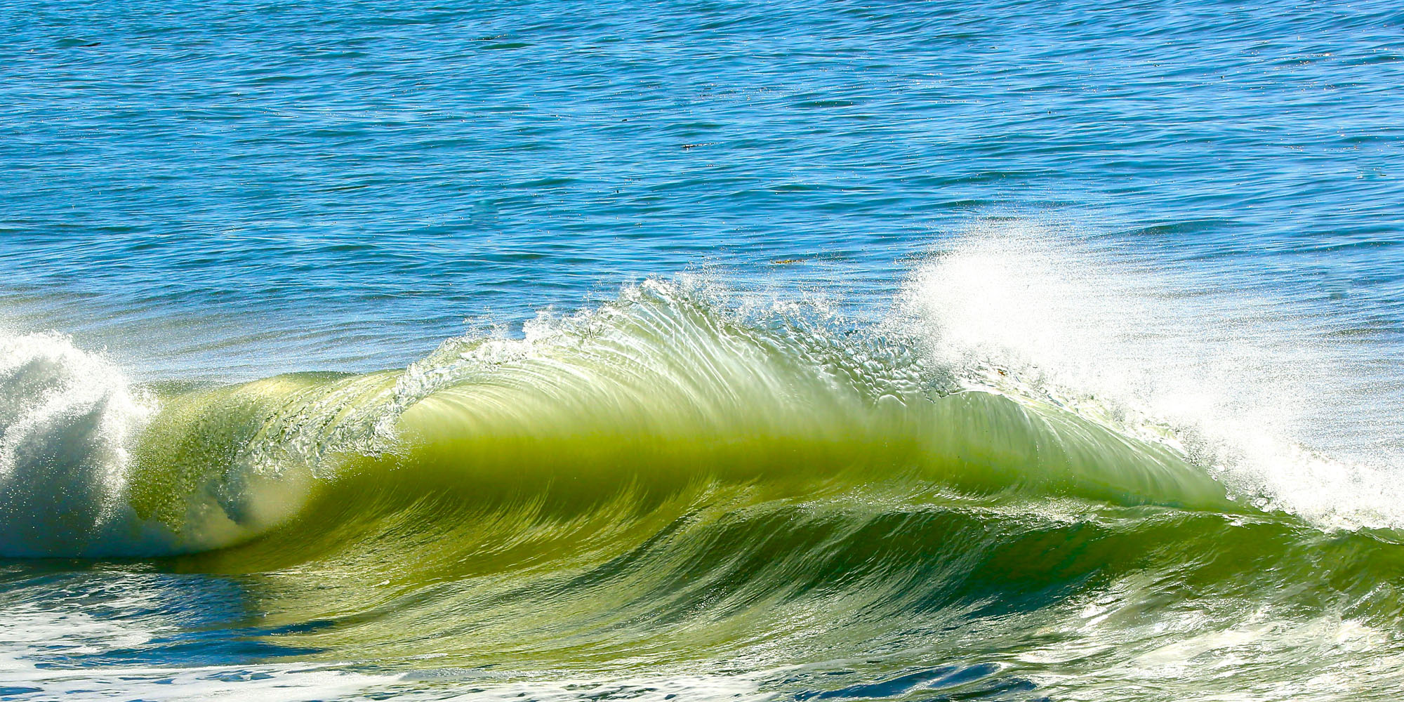 Miramar Santa Barbara